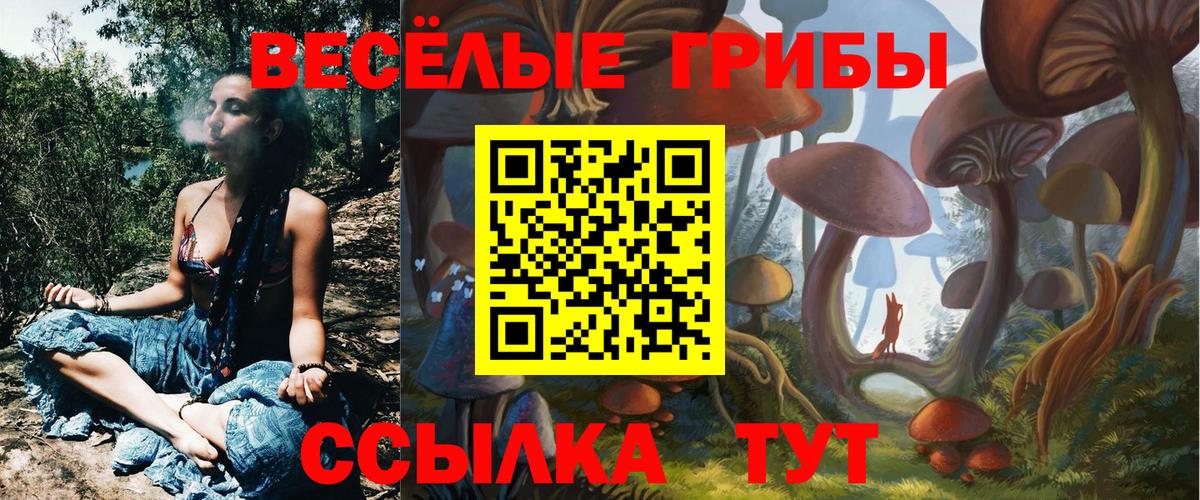 Череповец  Псилоцибиновые грибы Psilocybine cubensis  Вход с VPN 