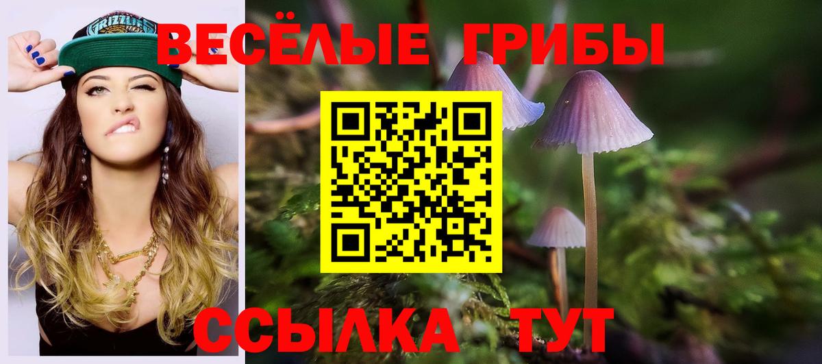 Галлюциногенные грибы мухоморы Череповец